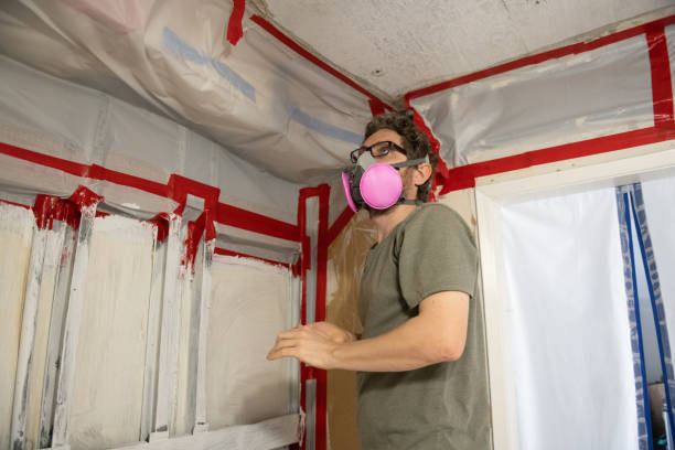 Best Post-Construction Mold Inspection  in Concord, AL