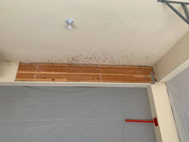 Best Indoor Air Quality Assessment  in Concord, AL