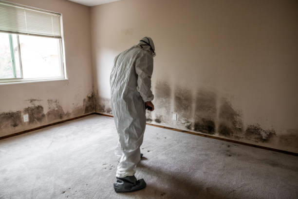 Best Commercial Mold Inspection  in Concord, AL
